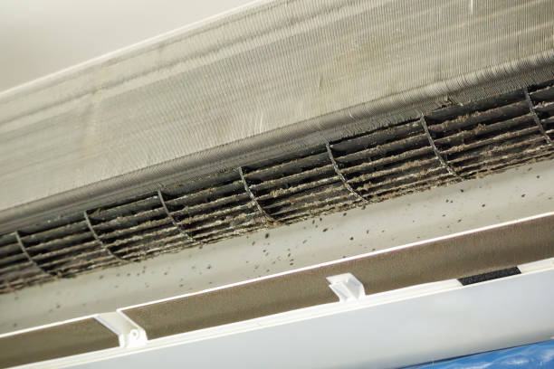 Best Duct Cleaning for Homes  in Cottleville, MO